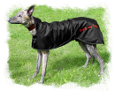 back on track windhund - greyhound_000